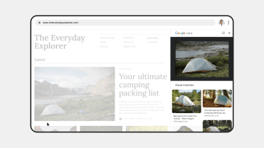 Screenshot of Google Lens in Chrome desktop.