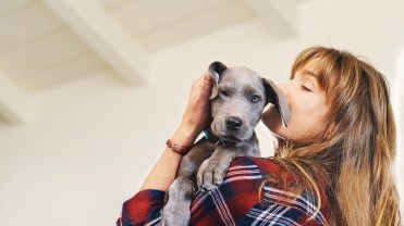 A puppy being held by a woman.
